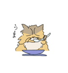 猫のHanaちゃん（個別スタンプ：4）
