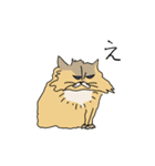 猫のHanaちゃん（個別スタンプ：8）