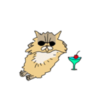 猫のHanaちゃん（個別スタンプ：10）