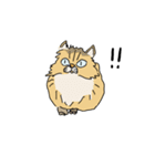 猫のHanaちゃん（個別スタンプ：13）