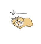 猫のHanaちゃん（個別スタンプ：15）