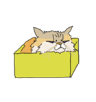 猫のHanaちゃん（個別スタンプ：17）