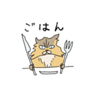 猫のHanaちゃん（個別スタンプ：18）