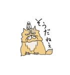 猫のHanaちゃん（個別スタンプ：24）
