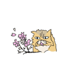 猫のHanaちゃん（個別スタンプ：26）