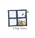 猫のHanaちゃん（個別スタンプ：34）