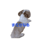 ふうただよ（個別スタンプ：2）