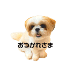 ふうただよ（個別スタンプ：5）