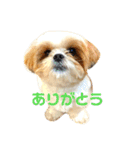 ふうただよ（個別スタンプ：14）