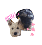 REON＆PUCK シュナスタ（個別スタンプ：6）
