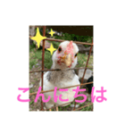 ピヨみと過ごす日び（個別スタンプ：2）