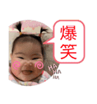 84Family②（個別スタンプ：4）