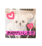 福太'sスタンプ（個別スタンプ：2）