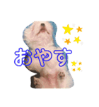 福太'sスタンプ（個別スタンプ：3）