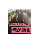 福太'sスタンプ（個別スタンプ：4）