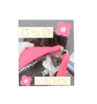 福太'sスタンプ（個別スタンプ：6）