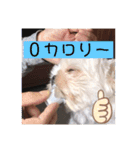 福太'sスタンプ（個別スタンプ：11）