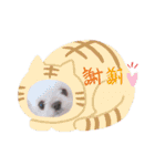 福太'sスタンプ（個別スタンプ：13）
