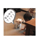 福太'sスタンプ（個別スタンプ：14）