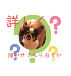 福太'sスタンプ（個別スタンプ：16）
