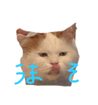 けいちゃんのらぶりーすたんぷ集ーーーー（個別スタンプ：4）