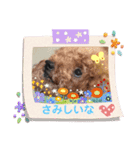ココ＆メロ（個別スタンプ：4）