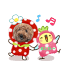 ココ＆メロ（個別スタンプ：7）