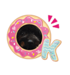 ココ＆メロ（個別スタンプ：8）