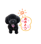黒プーMickのつぶやき（個別スタンプ：9）