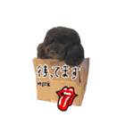 黒プーMickのつぶやき（個別スタンプ：26）