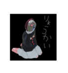 使える mioka stamp（個別スタンプ：7）