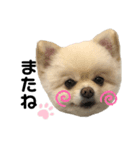 田中家のミーボちゃん（個別スタンプ：8）