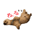 エルU´•ﻌ•`U（個別スタンプ：2）