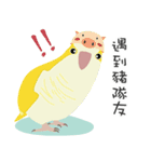 ｛マギー｝モンクオウム仕事に行く（個別スタンプ：3）