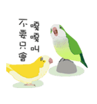 ｛マギー｝モンクオウム仕事に行く（個別スタンプ：4）