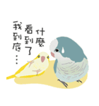 ｛マギー｝モンクオウム仕事に行く（個別スタンプ：11）