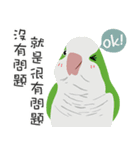 ｛マギー｝モンクオウム仕事に行く（個別スタンプ：15）