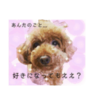 関西弁、ププちゃん。（個別スタンプ：1）