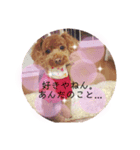 関西弁、ププちゃん。（個別スタンプ：3）
