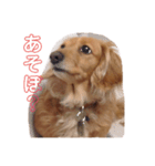 思い出。ひとときの（個別スタンプ：6）