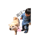 yuzuto.Level.2（個別スタンプ：1）