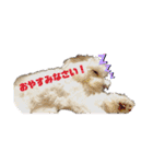 大好きあねちゃん（個別スタンプ：3）
