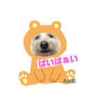 大好きあねちゃん（個別スタンプ：9）