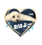 大好きあねちゃん（個別スタンプ：12）