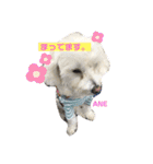 大好きあねちゃん（個別スタンプ：14）