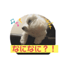 大好きあねちゃん（個別スタンプ：19）