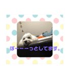 大好きあねちゃん（個別スタンプ：21）