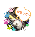 大好きあねちゃん（個別スタンプ：25）