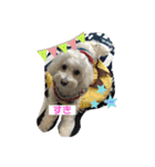 大好きあねちゃん（個別スタンプ：28）
