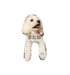 大好きあねちゃん（個別スタンプ：31）